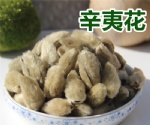 辛夷花