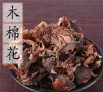 木棉花