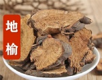地榆片